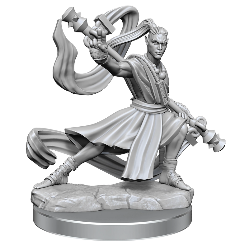 D&D Frameworks Elf Monk Male