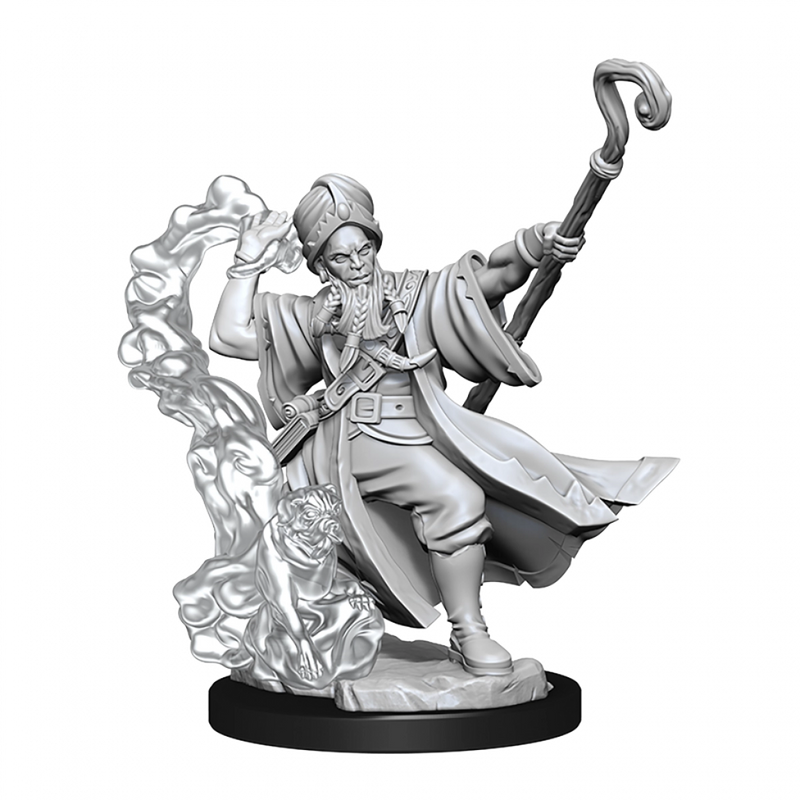 D&D Frameworks Human Wizard Male