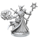 D&D Frameworks Tiefling Warlock Male