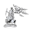 D&D Frameworks Dragonborn Sorcerer Female