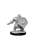 D&D Frameworks Dwarf Fighter Male