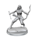 D&D Frameworks Human Rogue Female
