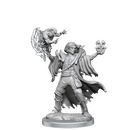 D&D Frameworks Human Warlock Male