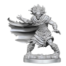 D&D Frameworks Wight