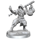 D&D Frameworks Human Monk Male