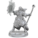 Pathfinder Legendary Cuts Human Wizard Male