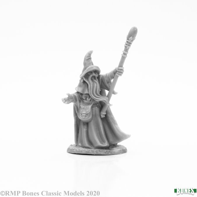 Reaper Bones - Arakus Landarzad, Wizard