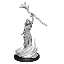D&D Nolzurs Marvelous Unpainted Miniatures - Human Druid Female