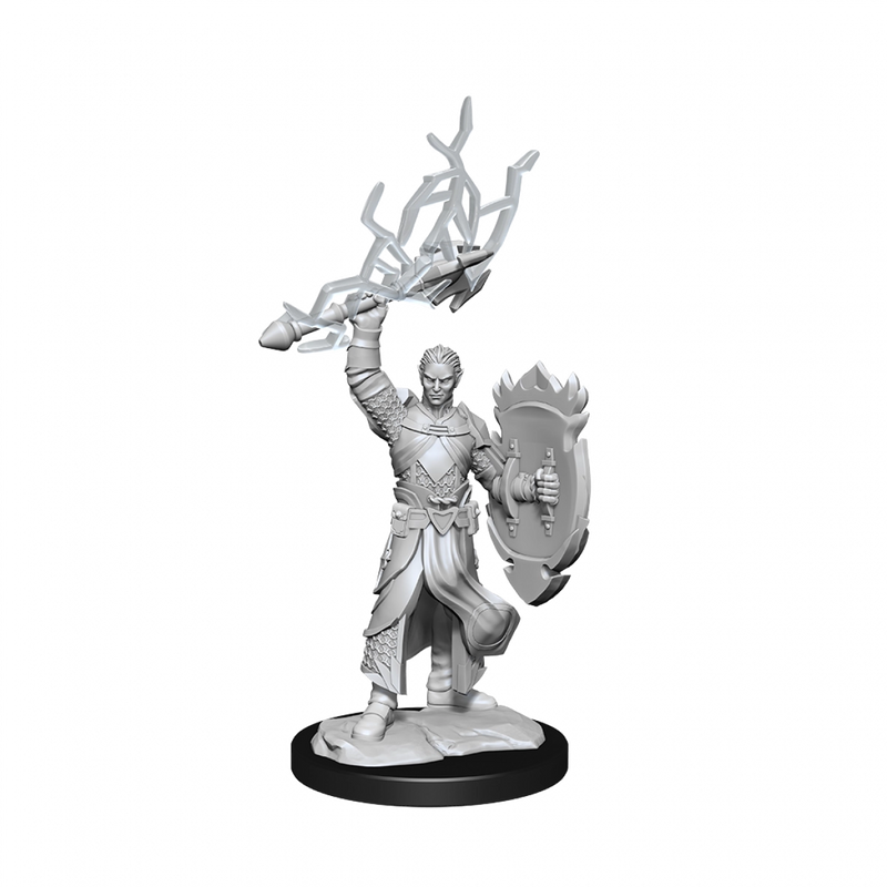 D&D Nolzurs Marvelous Unpainted Miniatures Half-Elf Paladin Male