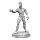 D&D Nolzurs Marvelous Miniatures Headless Monster