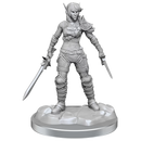 D&D Nolzurs Marvelous Miniatures Elf Rogue & Half-Elf Rogue Protege