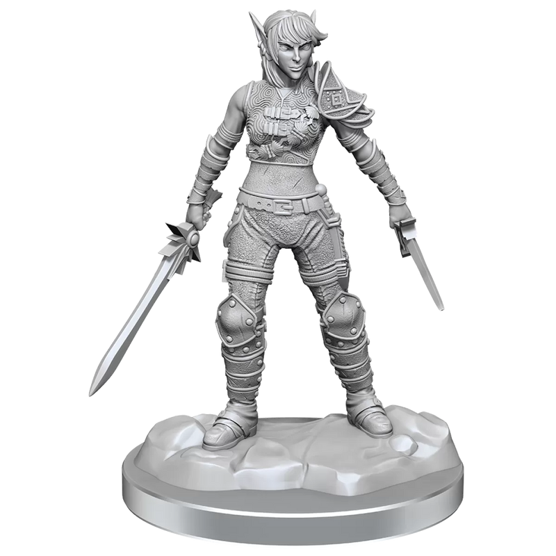 D&D Nolzurs Marvelous Miniatures Elf Rogue & Half-Elf Rogue Protege