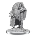 D&D Nolzurs Marvelous Unpainted Miniatures - Wereravens