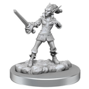 D&D Nolzurs Marvelous Miniatures Quicklings
