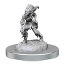 D&D Nolzurs Marvelous Miniatures Quicklings