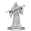 Magic The Gathering Unpainted Miniatures Lord Xander the Collector