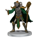 D&D Icons of the Realms Undead Armies - Skeletons