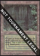 Bayou (IE) [Intl. Collectors’ Edition]