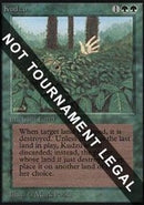 Kudzu (IE) [Intl. Collectors’ Edition]