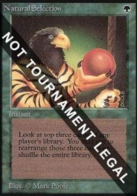 Natural Selection (IE) [Intl. Collectors’ Edition]