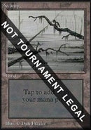 Swamp (Two Branches)(IE) [Intl. Collectors’ Edition]