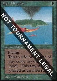 Birds of Paradise (CE) [Collectors’ Edition]