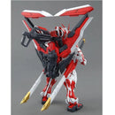 1/100 MG ASTRAY RED FRAME REVISE