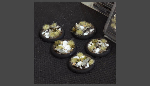Gamers Grass - Bases - Winter Bases (RoundLip 40mm (x5))