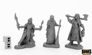 Reaper Bones Black - Women of Dreadmere (3)