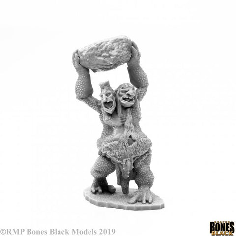 Reaper Bones Black - Two Headed Troll