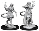 D&D Nolzurs Marvelous Unpainted Miniatures - Tiefling Sorcerer Female