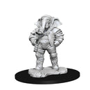 Magic - Unpainted Quintorius, Field Historian