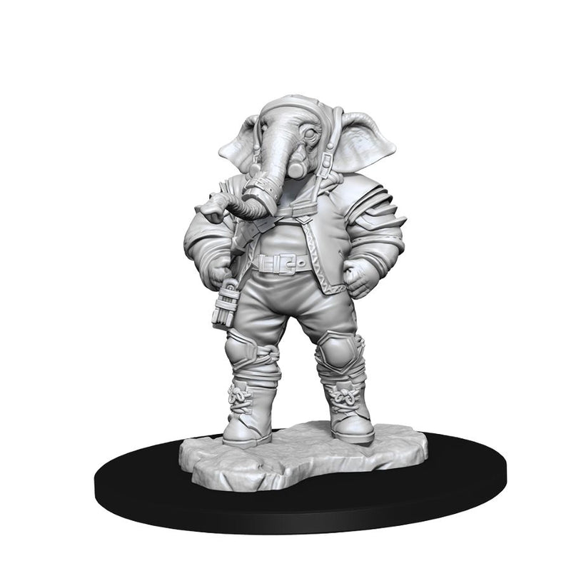 Magic - Unpainted Quintorius, Field Historian