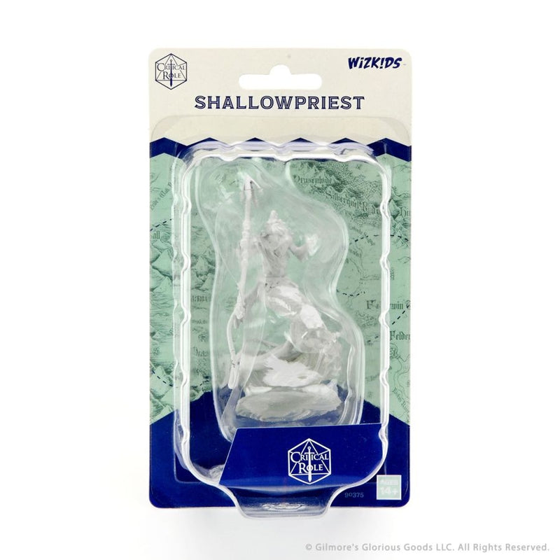 Critical Role - Unpainted Shallowpriest