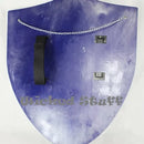 Legend of Zelda Link's Shield (Resin)
