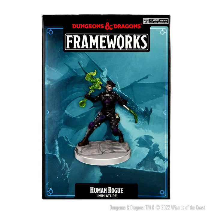 D&D Frameworks Human Rogue Female