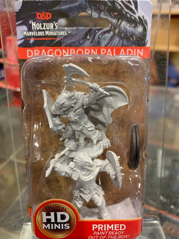 Miniature - Male Dragonborn Paladin