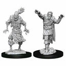 Miniature - D&D - Unpainted Scarecrow & Stone Cursed