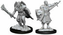 Miniature - Pathfinder - Unpainted Human Champion Male