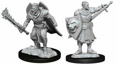 Miniature - Pathfinder - Unpainted Human Champion Male