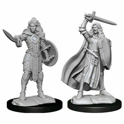 Miniature - Pathfinder - Unpainted Human Champion Female