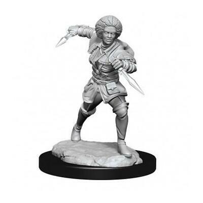 Miniature - Magic - Unpainted Kaya