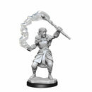 D&D Nolzurs Marvelous Unpainted Miniatures - Firbolg Female Druid